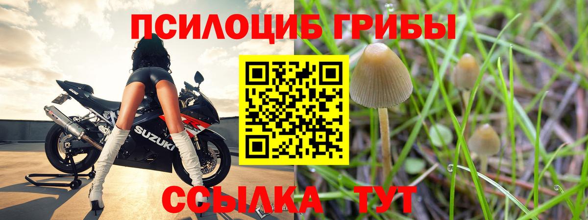 Псилоцибиновые грибы мицелий Якутск