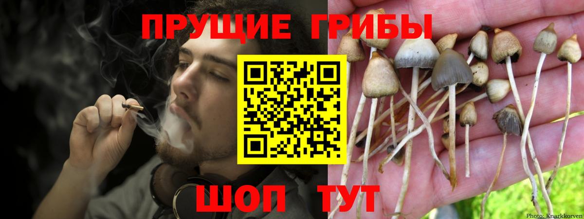 Псилоцибиновые грибы Magic Shrooms  Вход с VPN  Якутск 